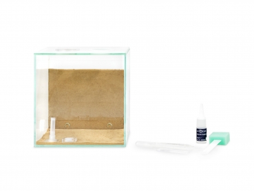 Bundle Offer - Lasius niger